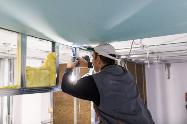 Best Insulation Maintenance and Repair in Washington, DC
