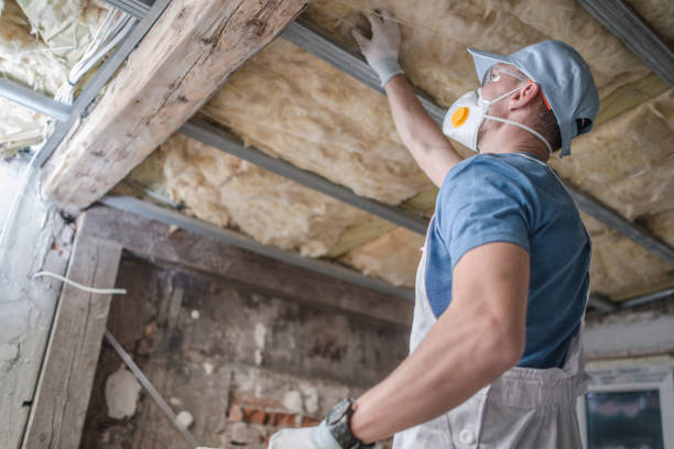 Professional Insulation Contractor in DC