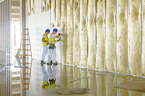 Best Insulation for Specific Applications in Washington, DC
